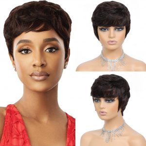 Human Hair Wigs